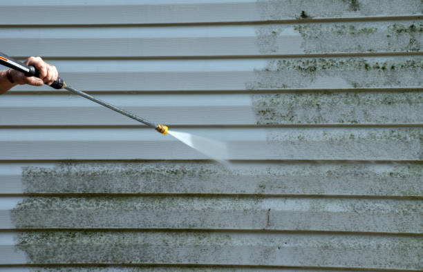 Best Driveway Pressure Washing  in Lafayette, TN